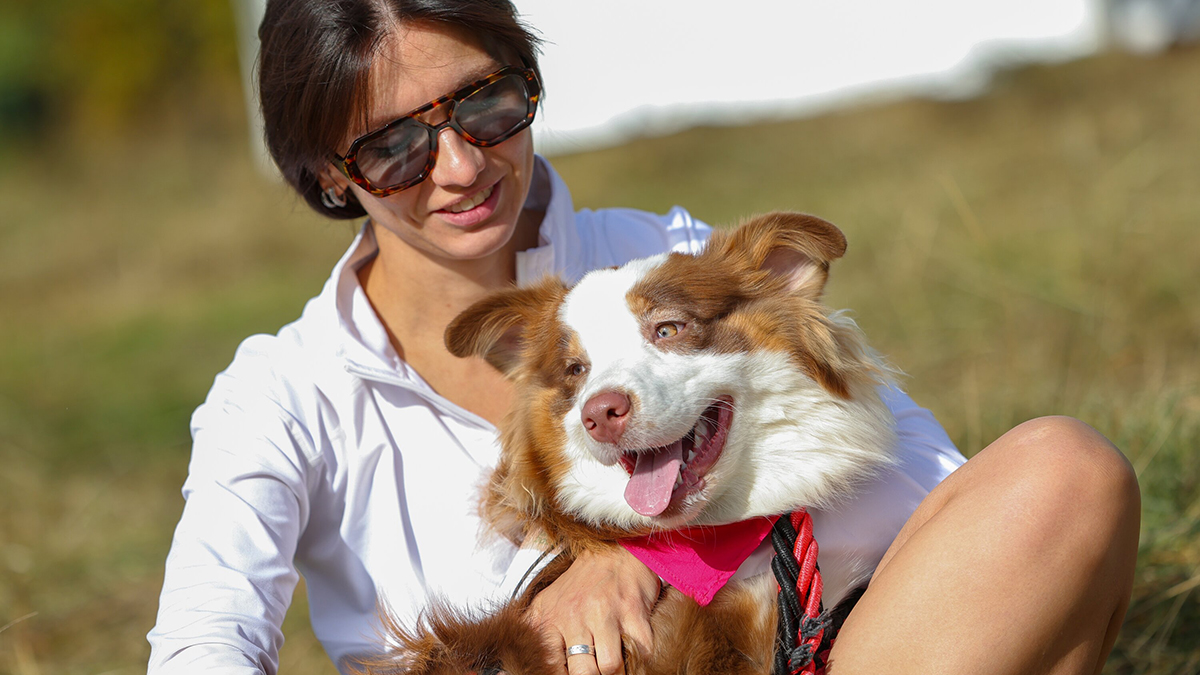 «Сделано в Москве» для питомцев: что выбрать на радость хвостатому другу