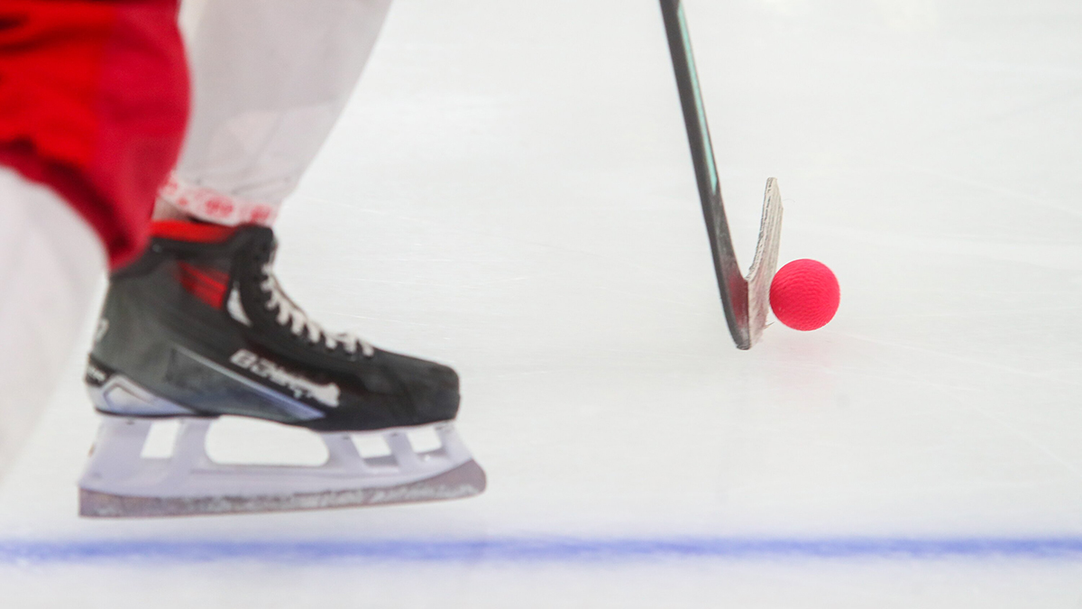 КХЛ пожизненно отстранила судью видеоповторов за ошибку в матче