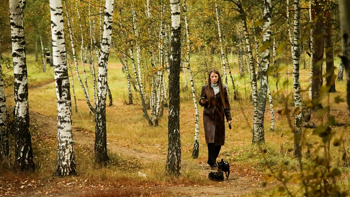 Погода в Москве 19 октября 2025 года