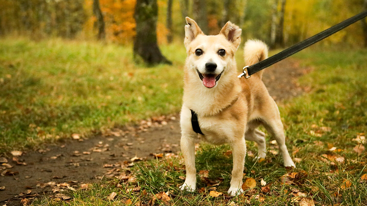 Синоптик Шувалов рассказал о возвращении солнечной погоды в Московский регион