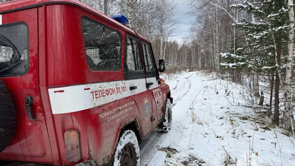 Есть ли у пропавшей в тайге семьи Усольцевых шансы выжить