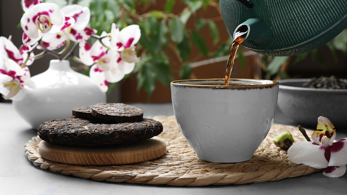 Пуэр: польза и вред для здоровья, как выбрать настоящий чай и правильно его заваривать