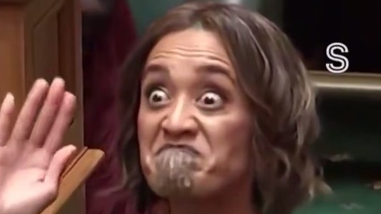 Депутат парламента Новой Зеландии сорвала заседание, исполнив ритуальный танец