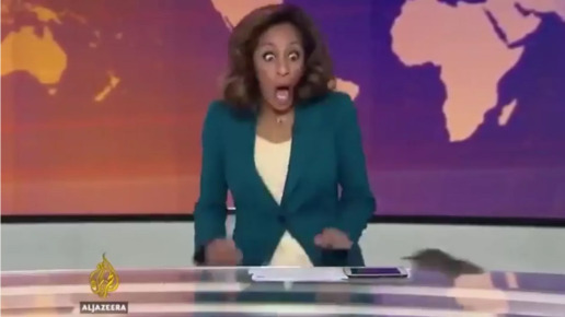 Крыса ворвалась в прямой эфир телеканала в Британии и напугала ведущую