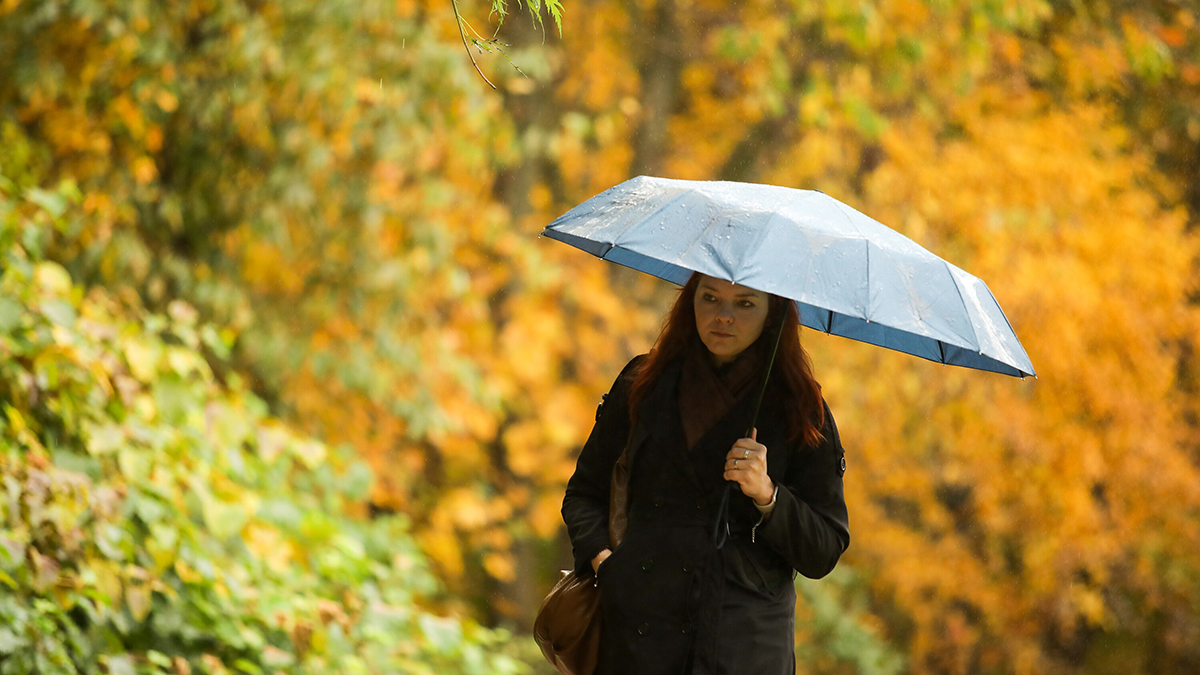 Что на самом деле укрепляет иммунитет осенью