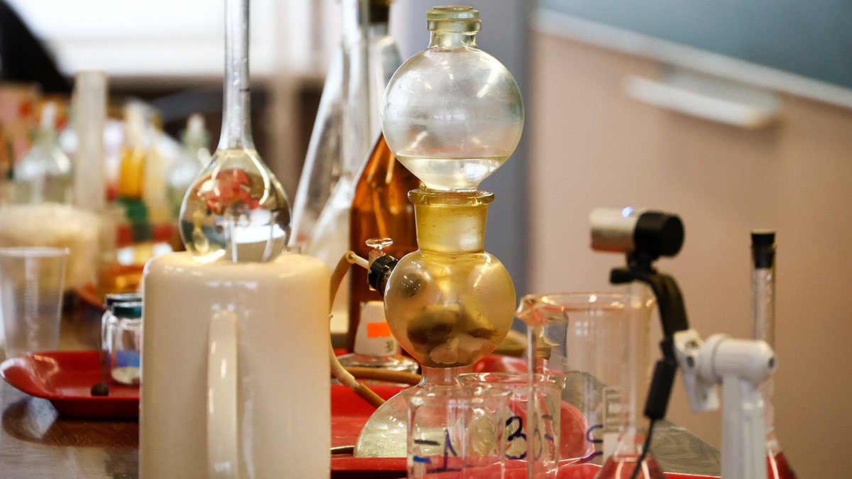 Энтомологическая лаборатория «Биокластера» начинает занятия для школьников