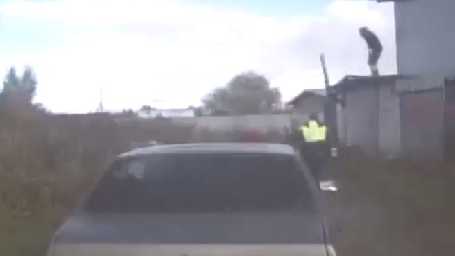 Метко брошенное полено помешало пьяному мужчине скрыться от полиции под Вологдой