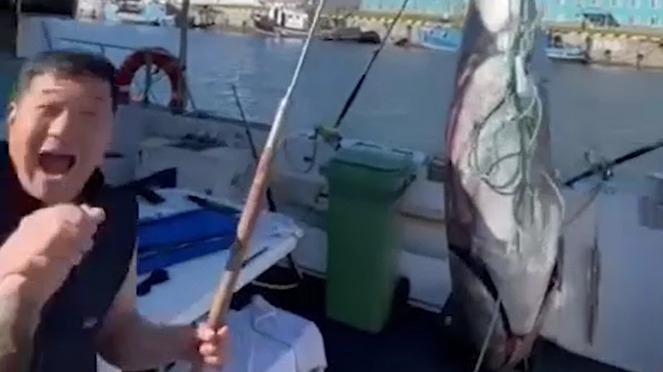Рыбаки на Курилах поймали тунца-гиганта стоимостью более 160 миллионов рублей