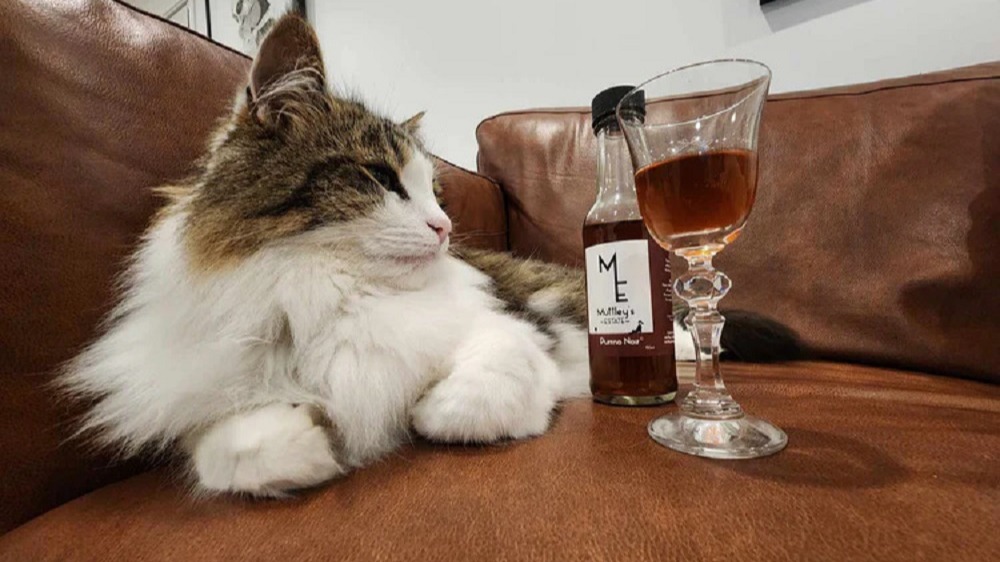 Немного вина из кошачей мяты, и Барсик спокоен