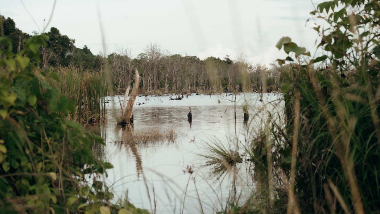 День лешего: поверья, мистика, где встретить в Москве