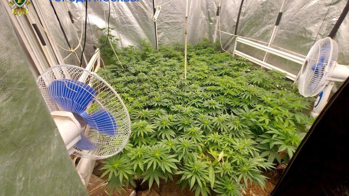 Мужчина затопил чужую квартиру в Москве и попался полиции с наркотиками