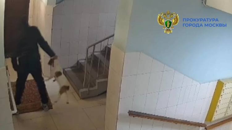 Женщина избила собаку ногами в подъезде дома на юго-западе Москвы