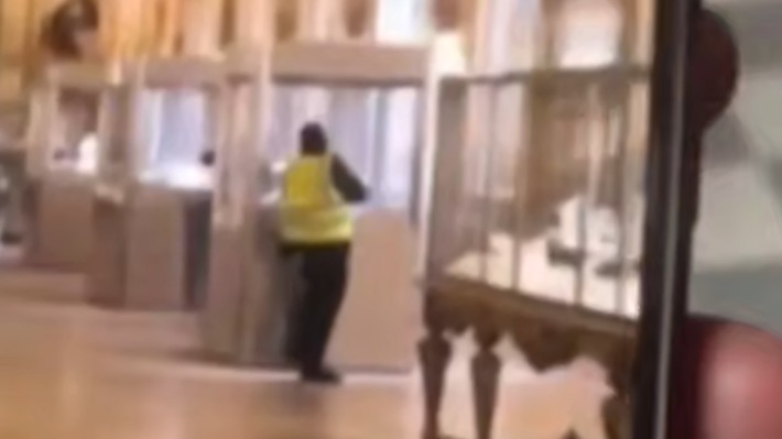 Появилось видео скандального ограбления в Лувре