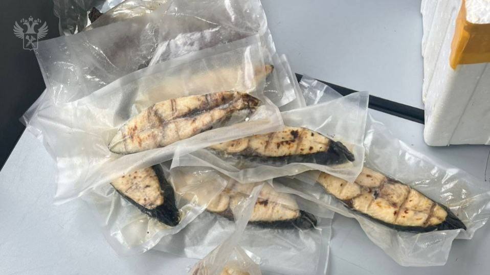 Три килограмма мяса медуз обнаружили таможенники в багаже пассажира из Ханоя