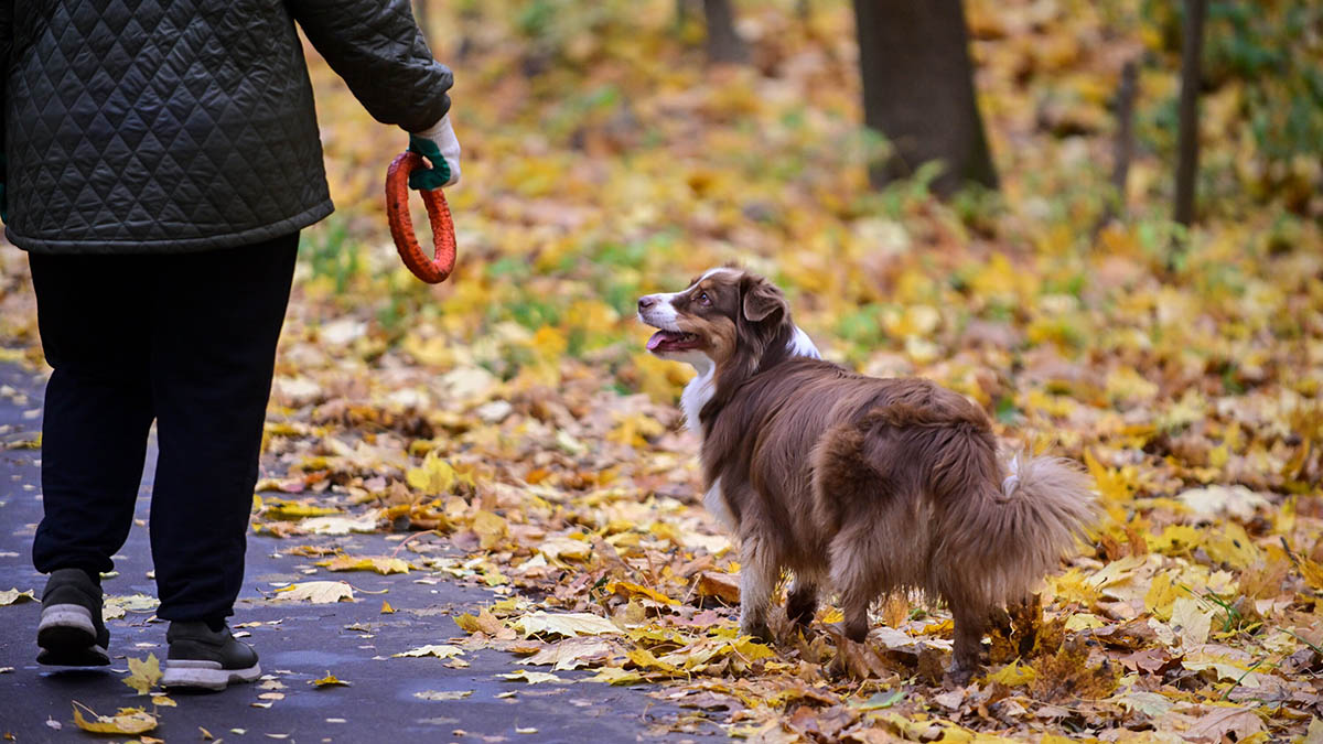 До какого числа в Москве сохранится теплая погода в 2025 году