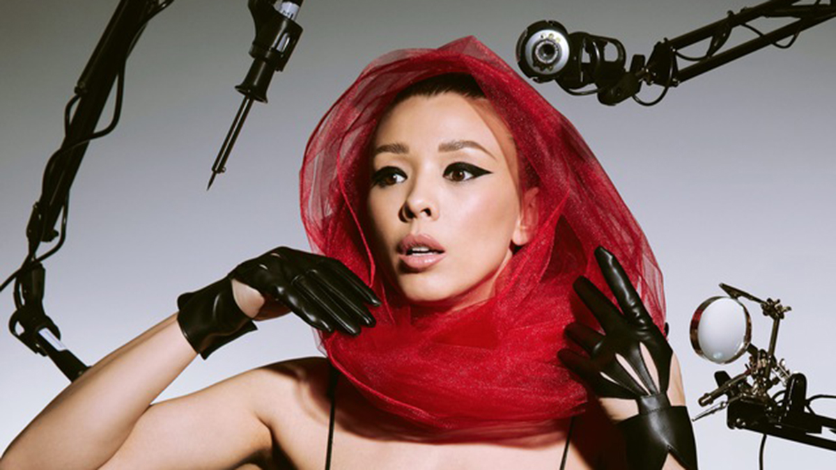 Стилиста Янковскую отправили в СИЗО по делу о подделках с «Садовода»