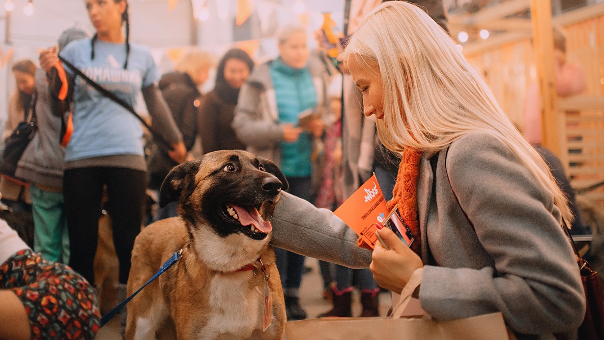Куда сходить в Москве в ноябре: восемь главных событий месяца