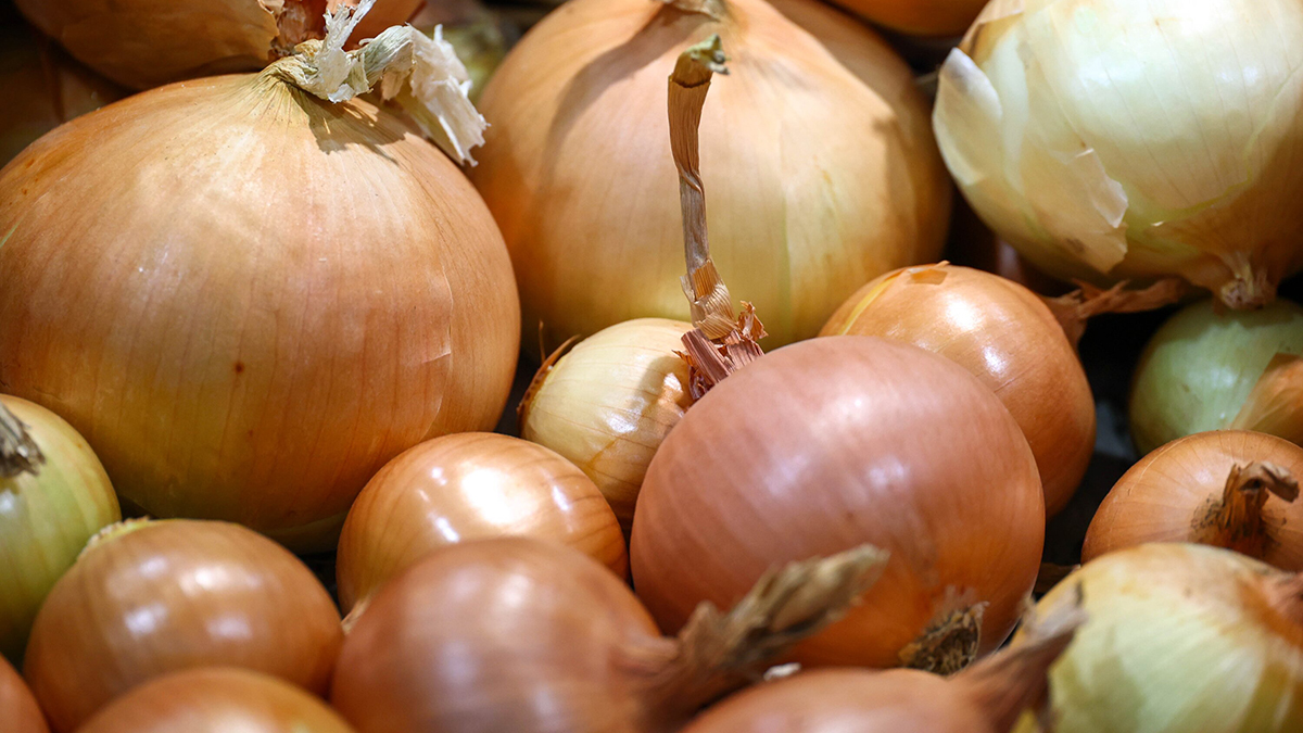 Народные приметы на 15 января