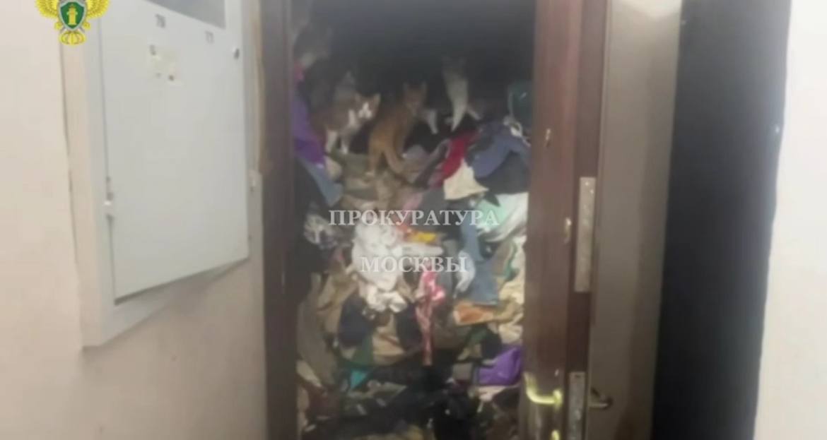 Соседи москвички пожаловались на ужасный запах из квартиры, заполненной мусором