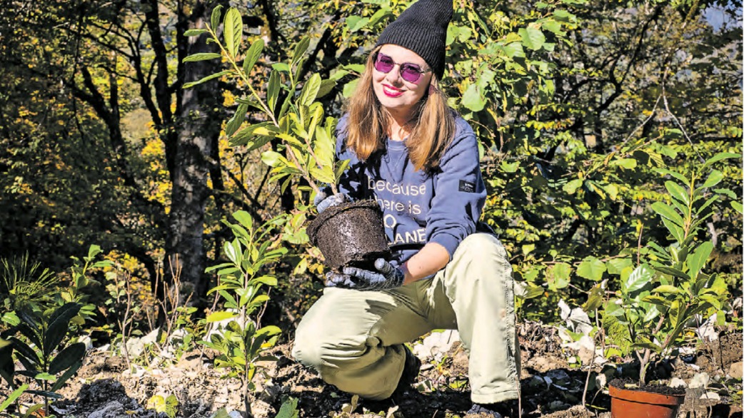 Эколог Светлана Ковалевская высаживает лавровишню на склоне дороги в горном районе «Роза Хутор». Корни дерева замедлят размывание пластов породы и укрепят склон