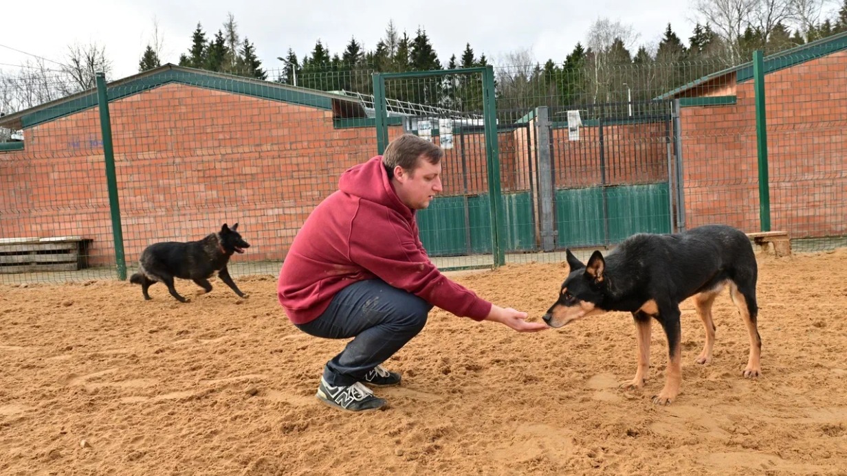 Благотворительный проект «Пушистый марафон» стартовал в ТиНАО