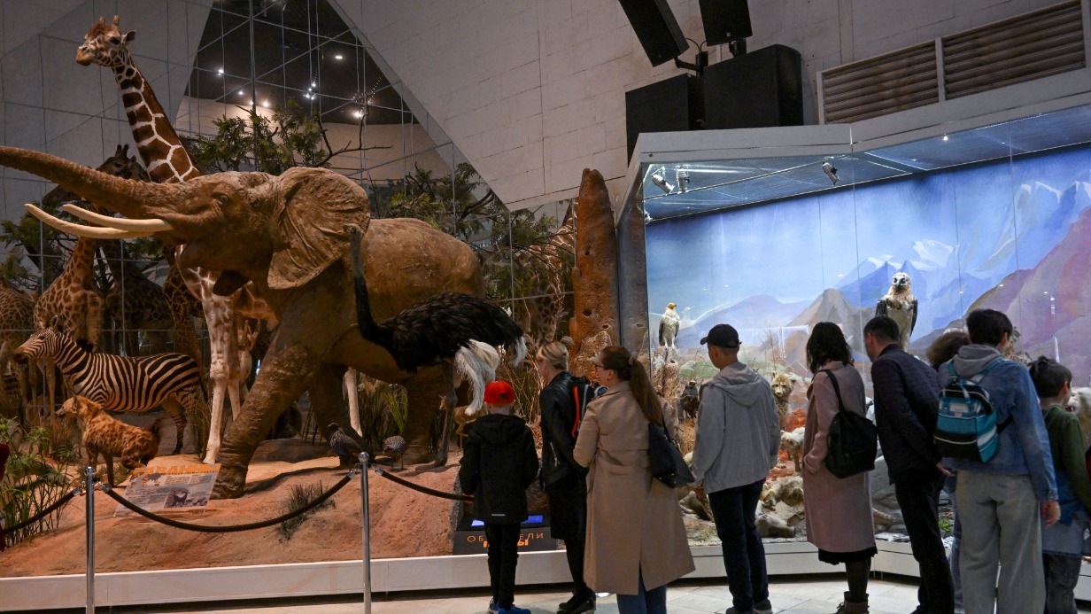 Посетители осматривают Дарвиновский музей в день проведения акции «Ночь музеев» в столице
