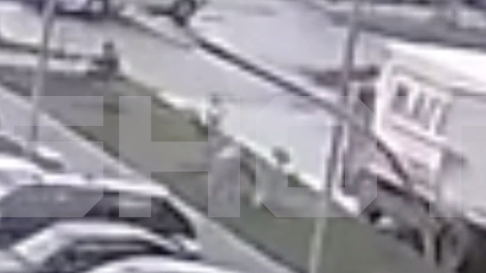 Несколько десятков жертв: появились подробности отравления собак в Подмосковье