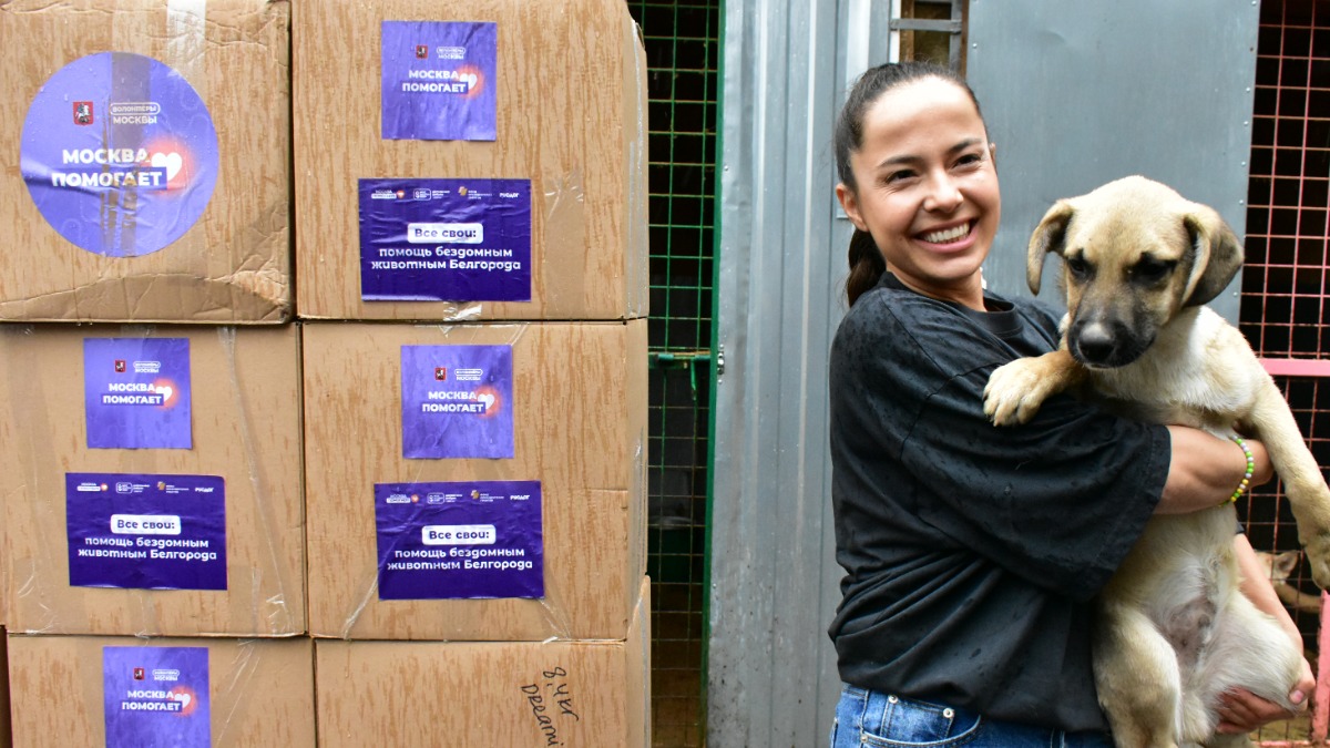 Председатель РОО защиты животных «РусДог» Мария Белоусенко и щенок Дубок готовят груз перед его отправкой в Белгородскую область