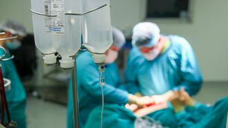 Что пересаживают людям от животных и почему органы свиньи похожи на человеческие