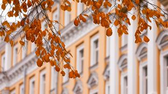 Погода в Москве 29 сентября 2026 года
