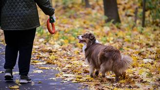 До какого числа в Москве сохранится теплая погода в 2025 году