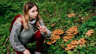 Сдам белых за 500 рублей: как москвичи зарабатывают на координатах грибных мест