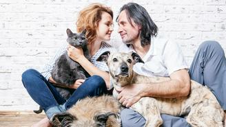 Закон «Об ответственном обращении с животными»: что предлагают поменять