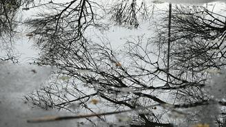 Погода в Москве в конце ноября