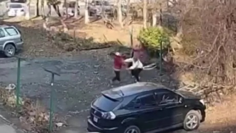 Пенсионерка во Владивостоке покусала соседей и избила их бревном