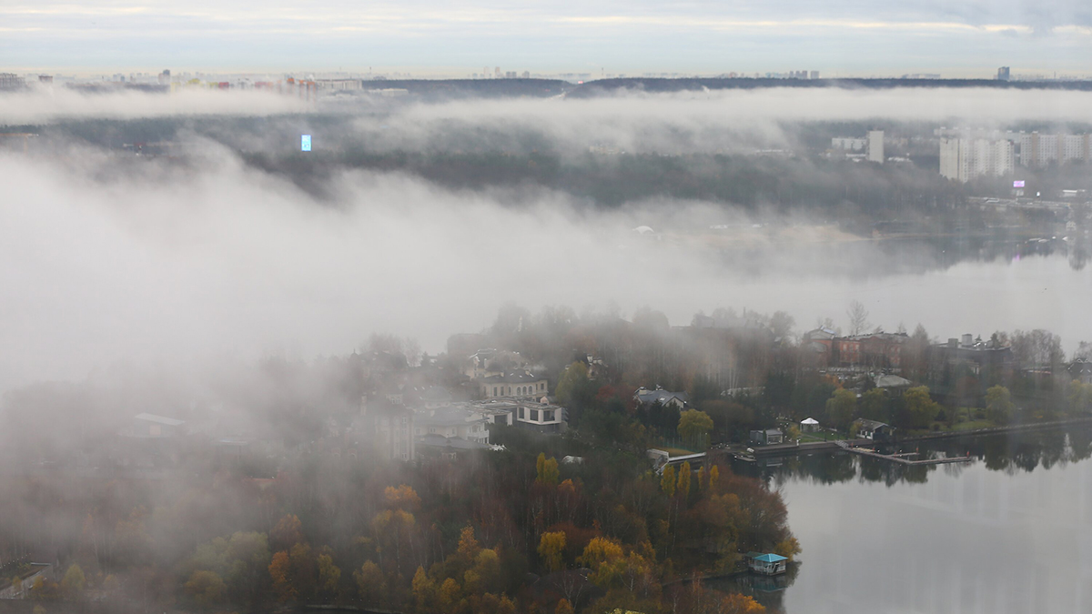«Желтый» уровень погодной опасности из-за тумана введут в Москве вечером 12 ноября