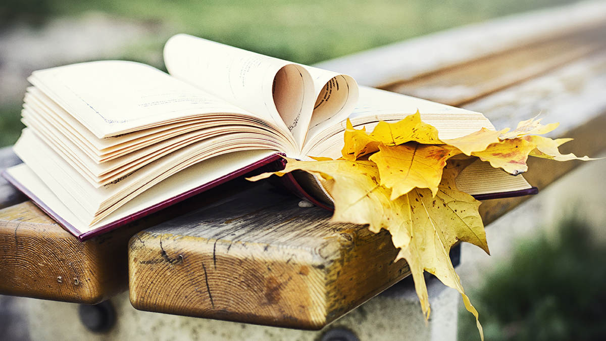 Восемь главных книжных новинок ноября