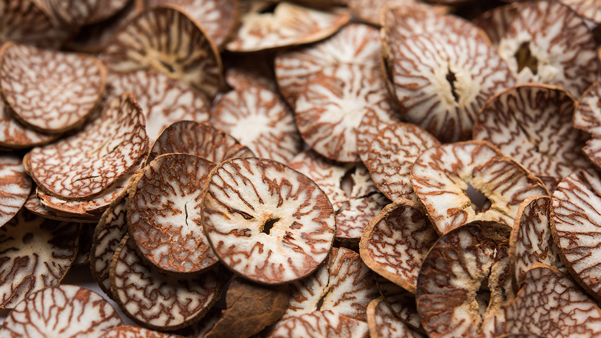 Нарколог Холдин предупредил о тяжелых последствиях жевания бетельного ореха