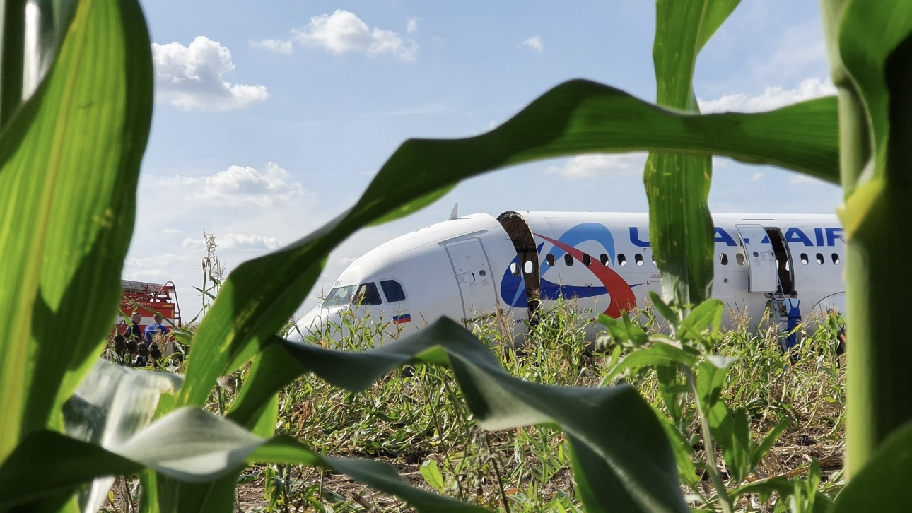 МАК опубликовал финальный отчет о посадке Airbus в кукурузном поле в 2019 году