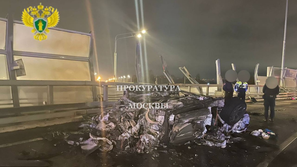 В аварии с Lamborghini пропал принадлежавший погибшему криптобизнесмену чихуахуа