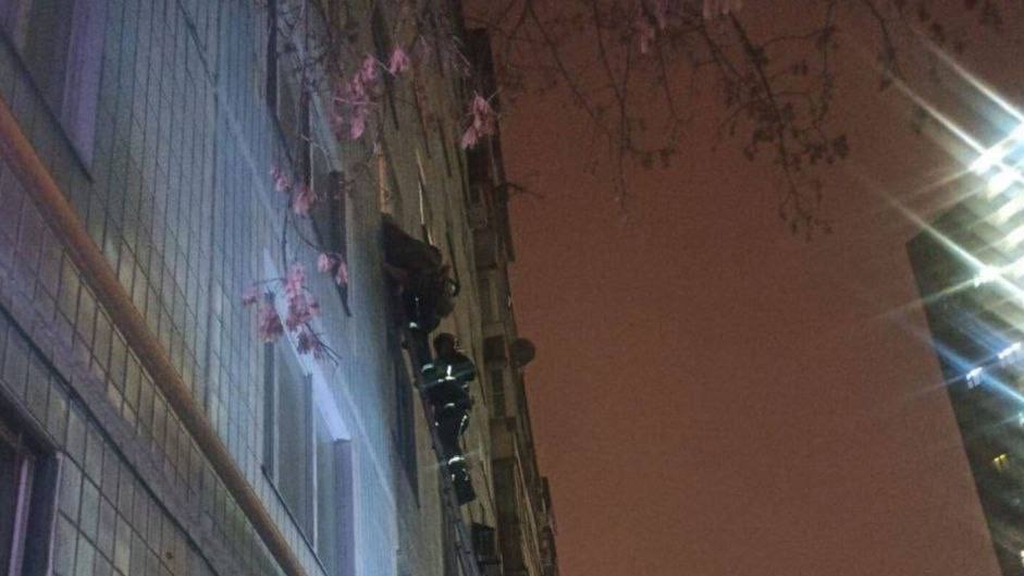 Пьяная женщина повисла вниз головой в окне дома на северо-западе Москвы