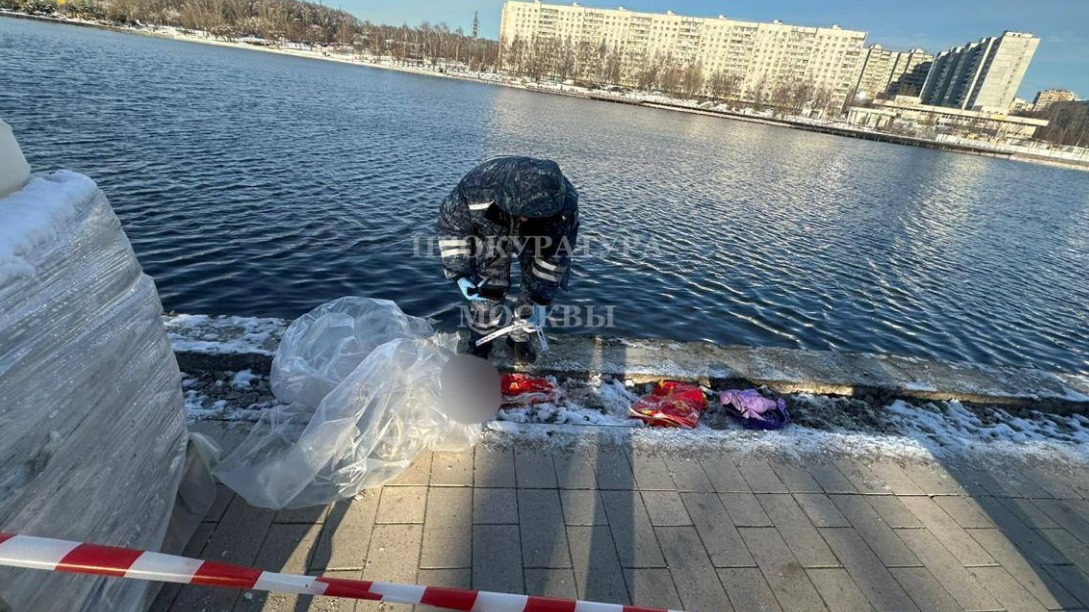 Шестилетнего ребенка жестоко убили в Балашихе: малышу отрубили голову и выбросили ее в пруд, главное о ЧП