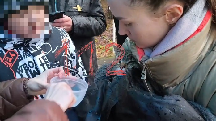 Кота, который просидел на дереве почти неделю, спасли в Новой Москве