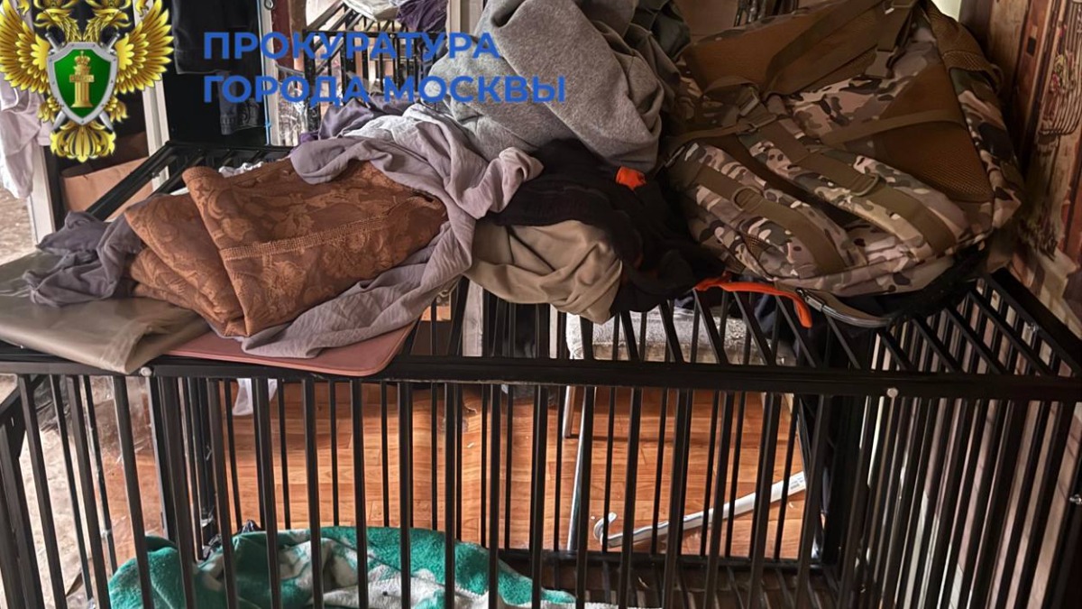 Суд рассмотрит дело москвича, натравившего собак на трех соседей в Новой Москве