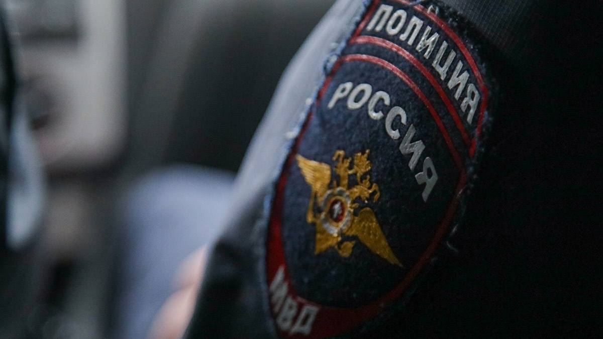 Полиция начала проверку после избиения мужчиной собаки в лифте в Подмосковье