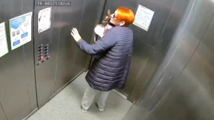 Лифт с женщиной и собакой в Краснодаре рухнул и пролетел четыре этажа