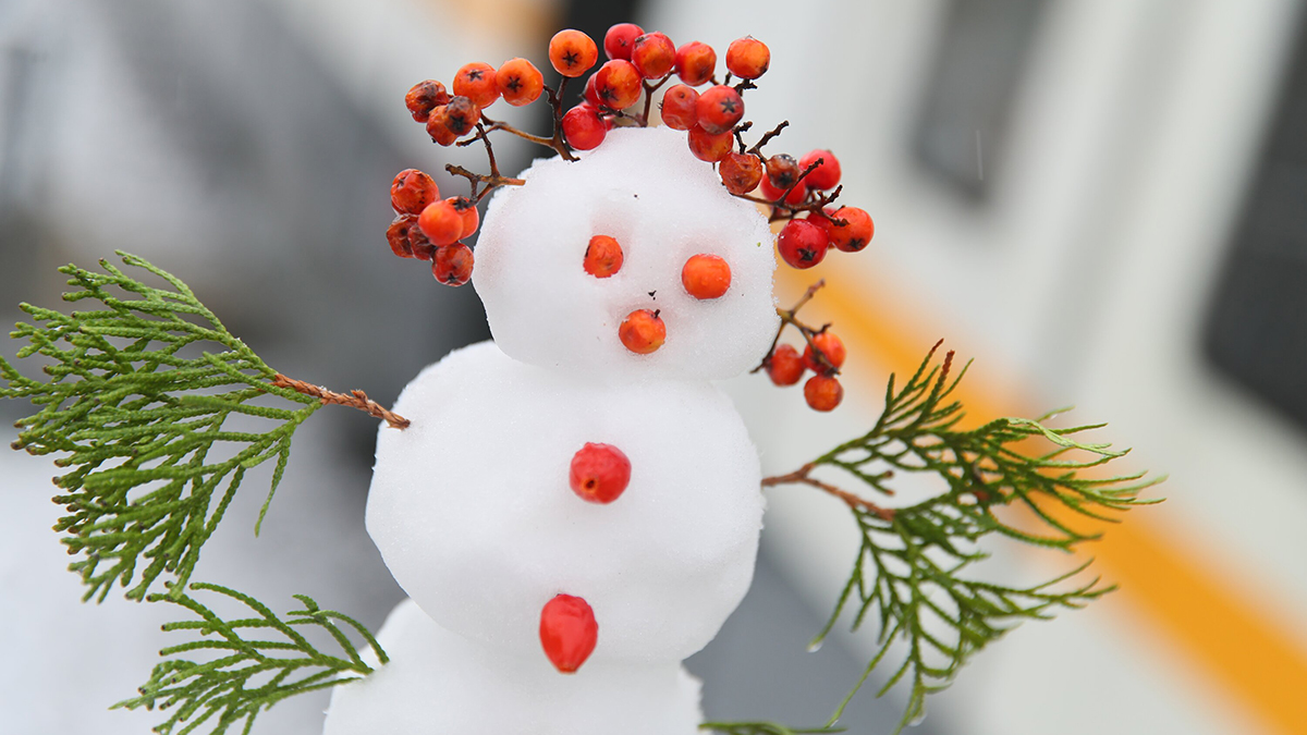 Когда в Москве выпадет снег