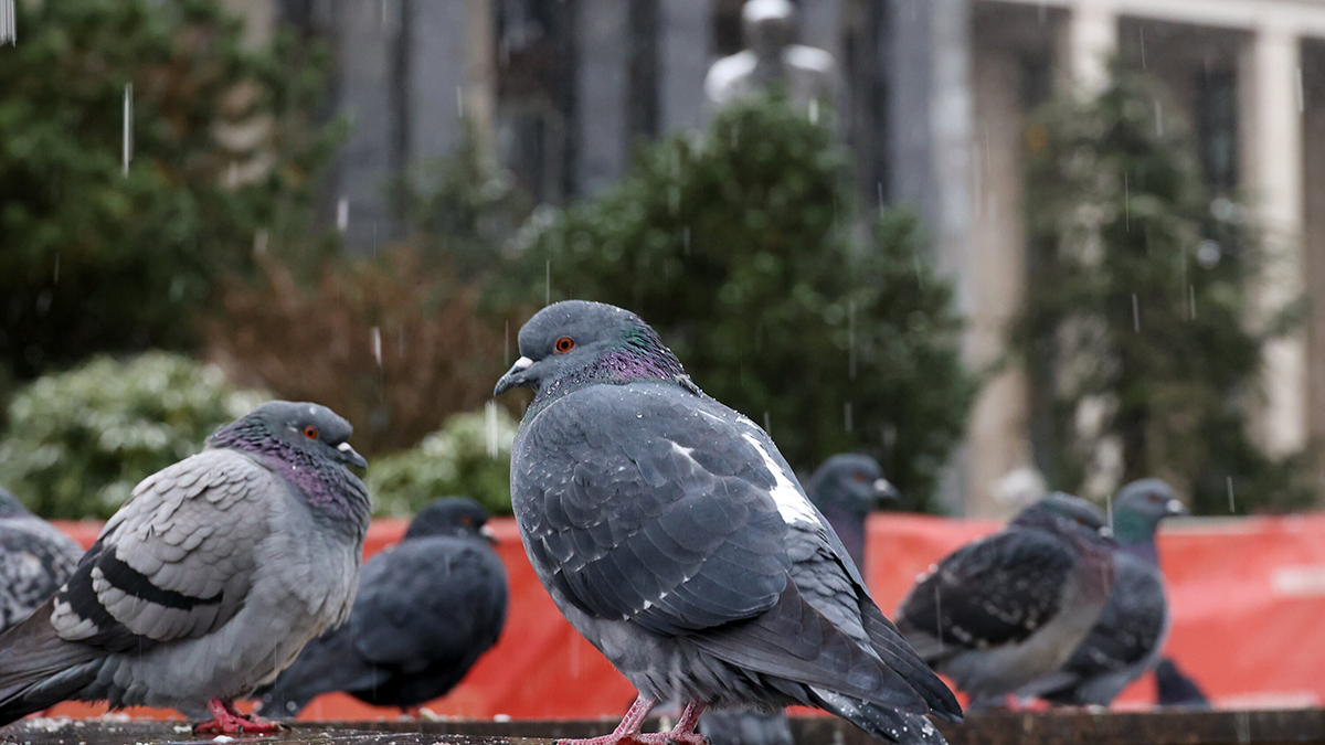 Погода в Москве 16 декабря 2025 года