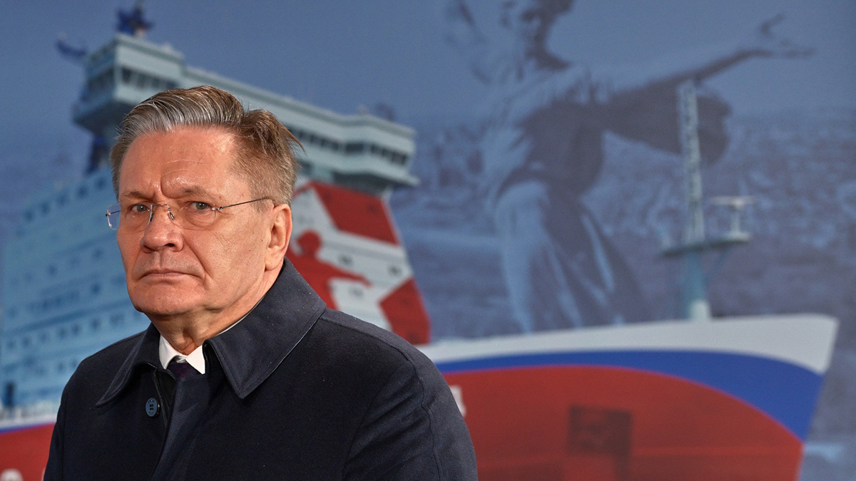 Лихачев: Удар по АЭС «Бушер» пришелся вплотную к действующему энергоблоку