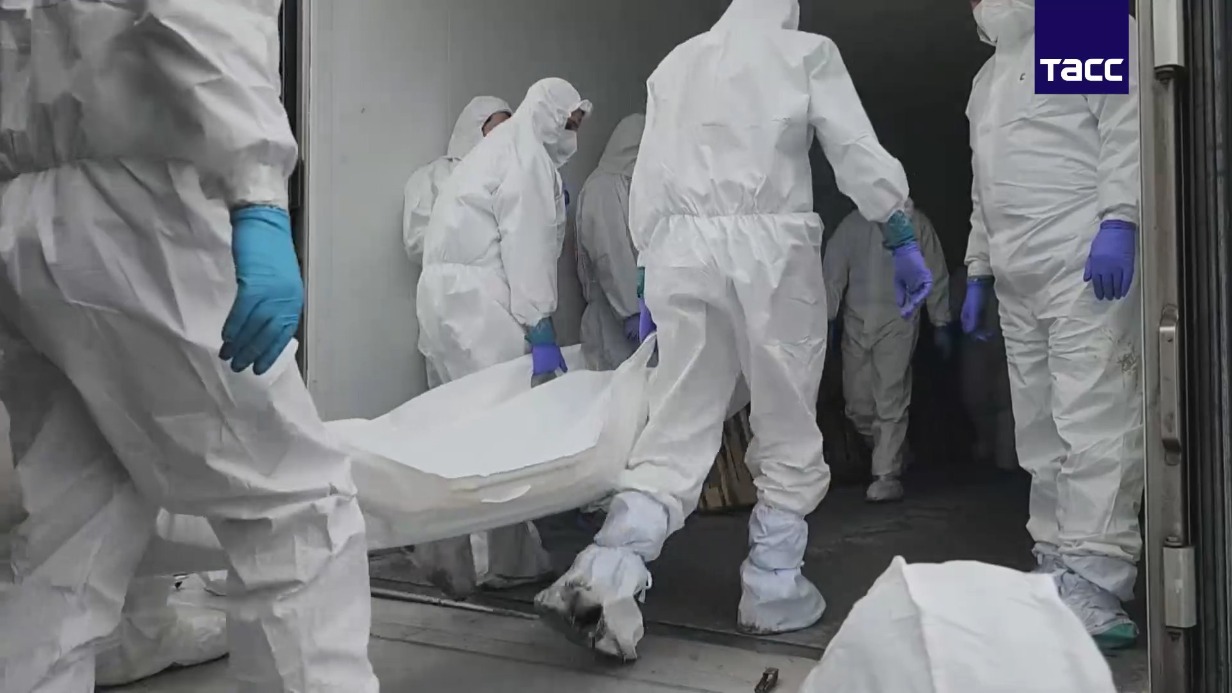 Появились кадры передачи тел солдат ВС РФ и ВСУ